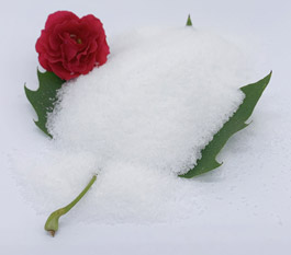 Hvilken type polyakrylamid er mer effektiv for å behandle bilvaskevann?