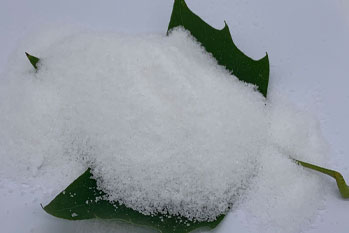 Polyacrylamid (PAM) Velging og Performance i Urban Wastevannbehandling