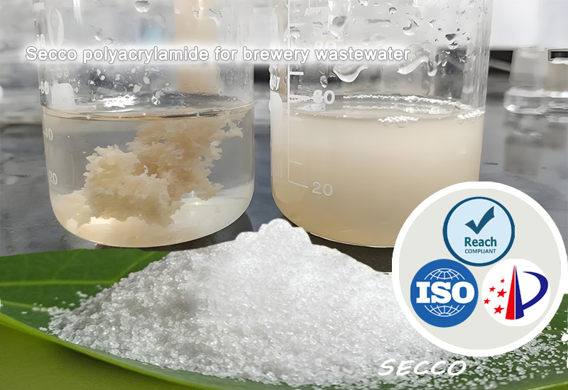 Velging og effekt av Polyacrylamid (PAM) i bruvvannsbehandling